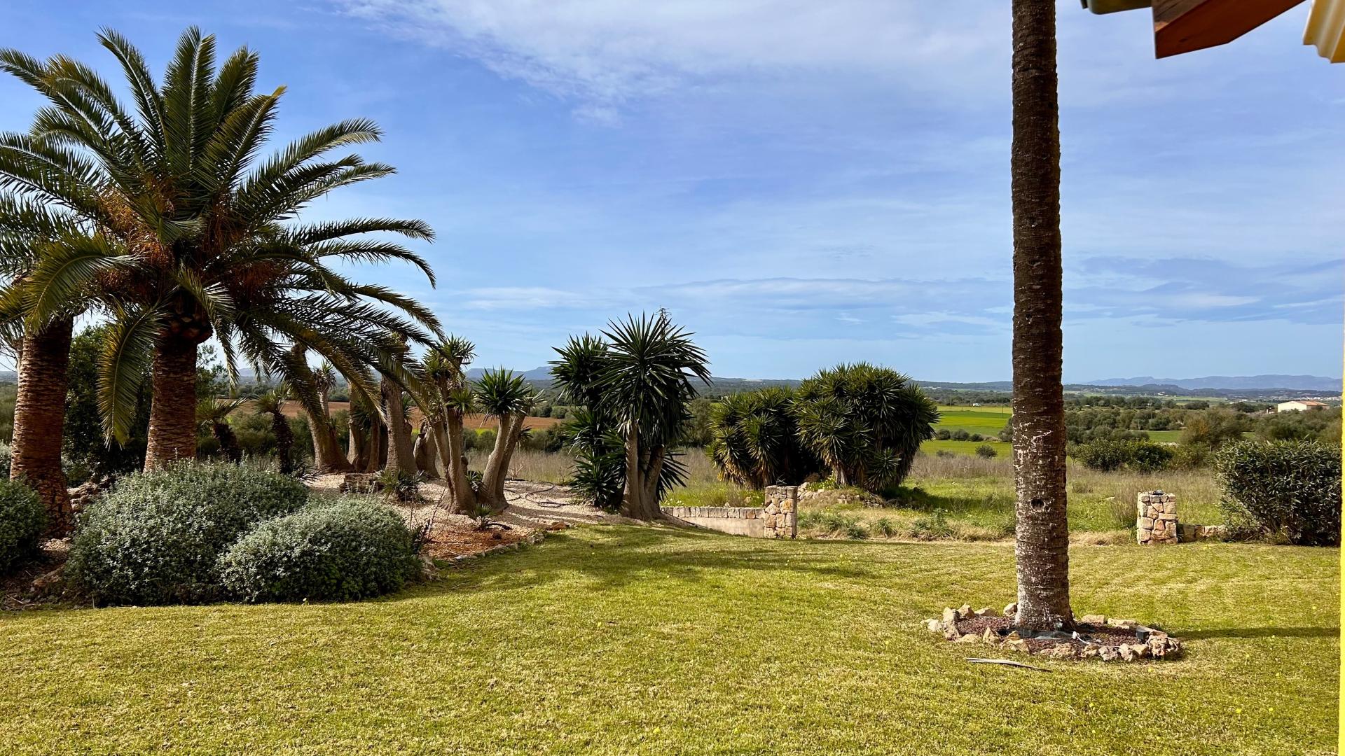 Photo 45 de l'annonce.