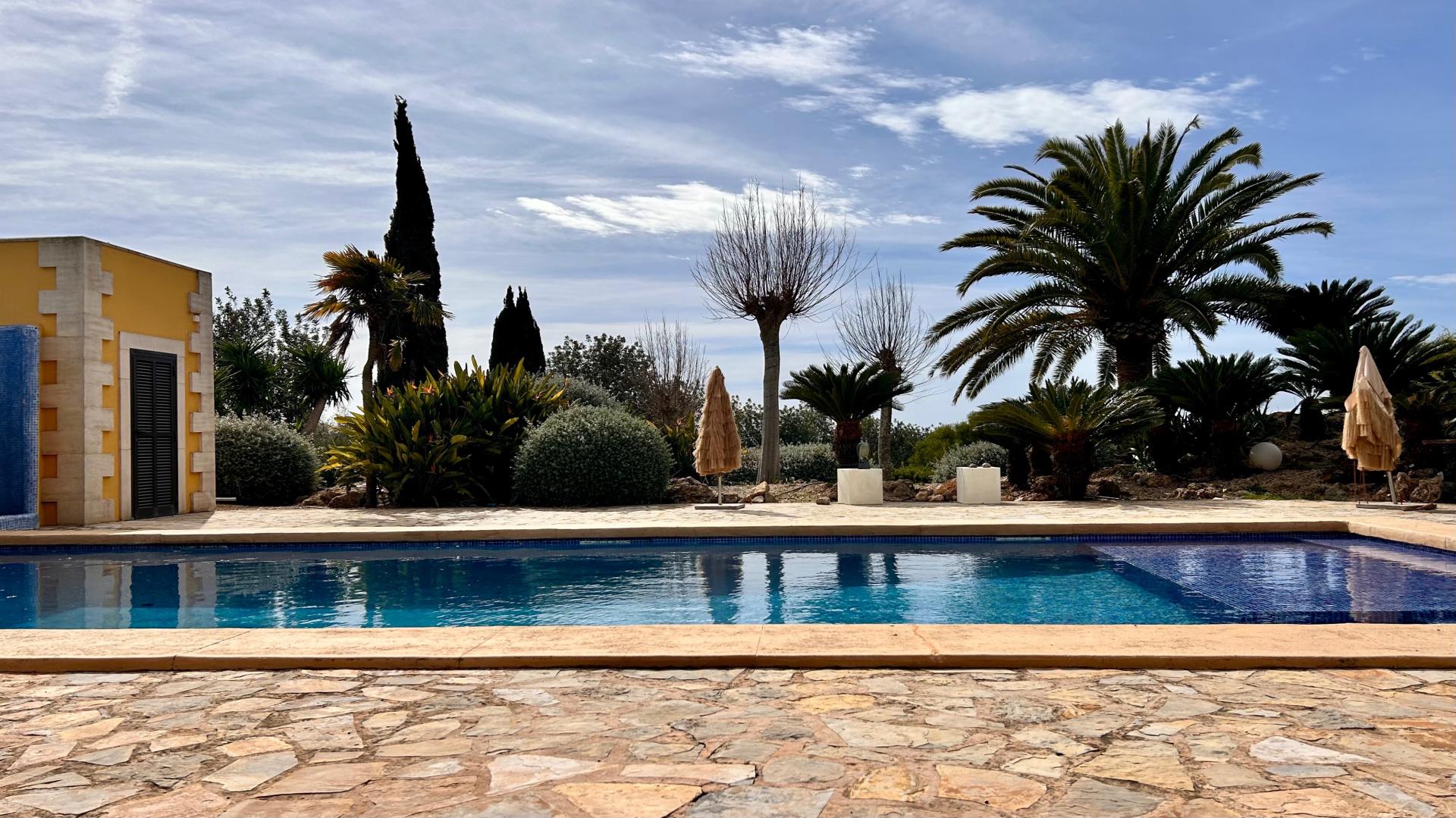 Photo 42 de l'annonce.