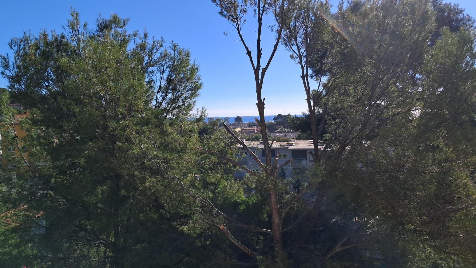 Photo 24 de l'annonce.