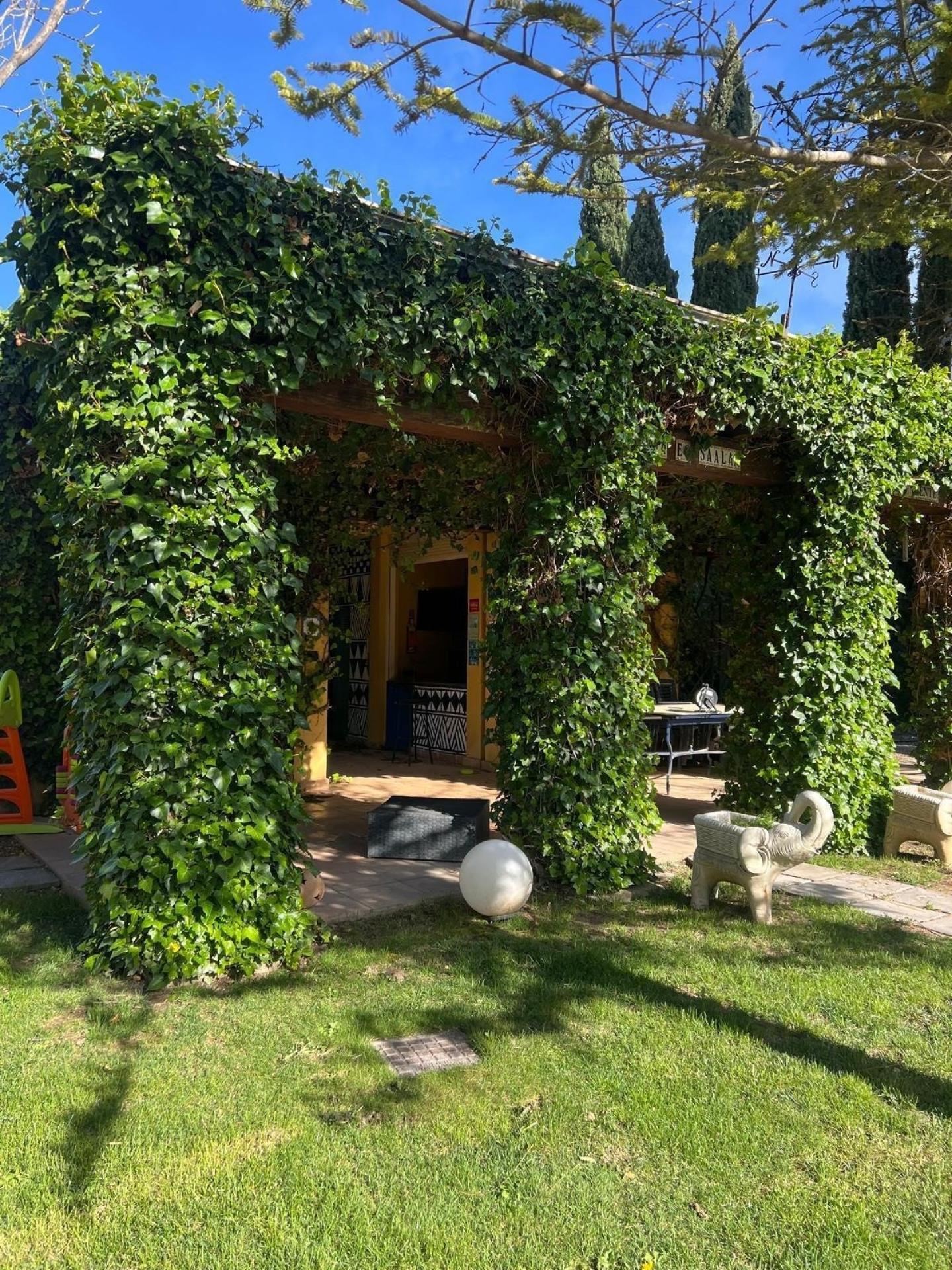 Photo 36 de l'annonce.