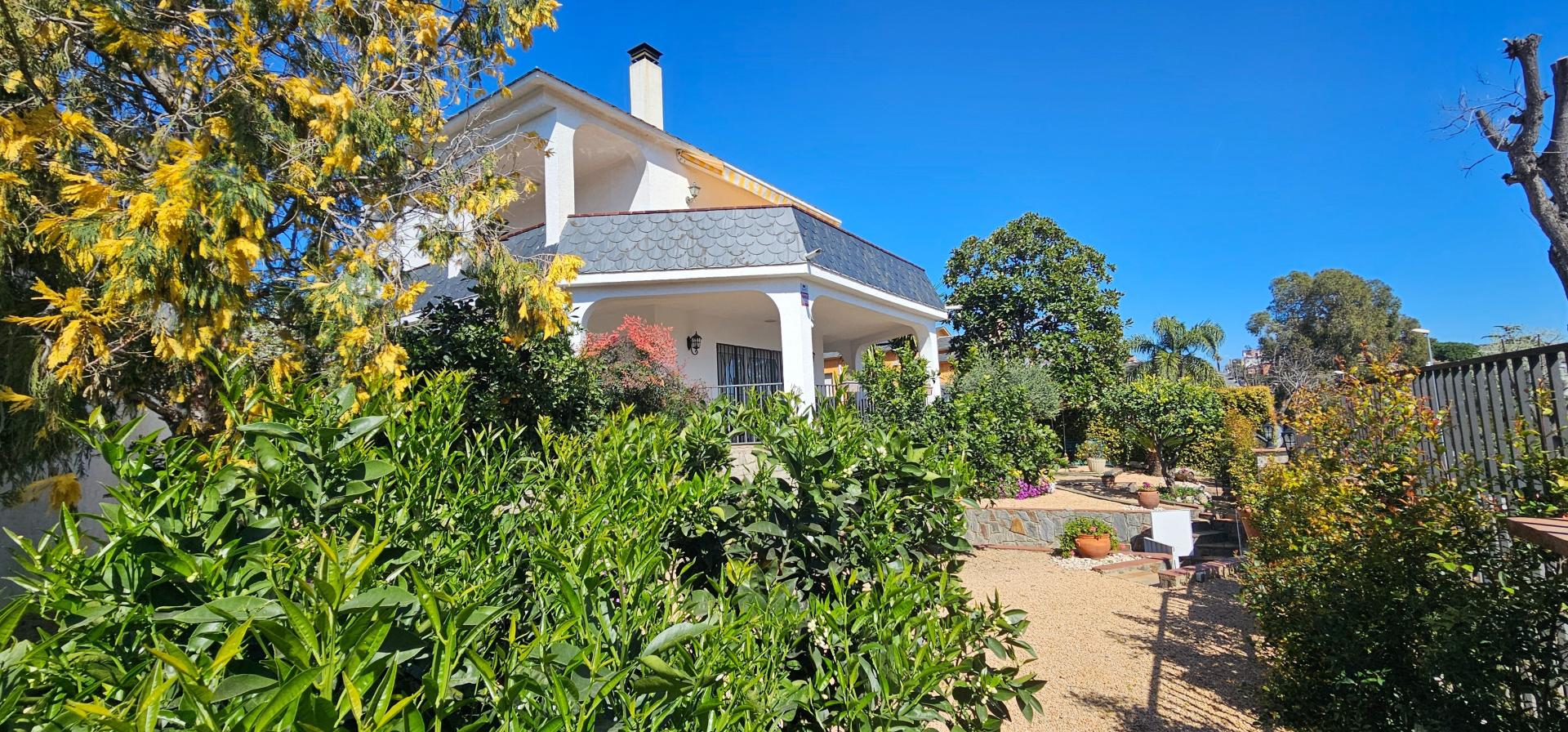 Photo 2 de l'annonce.