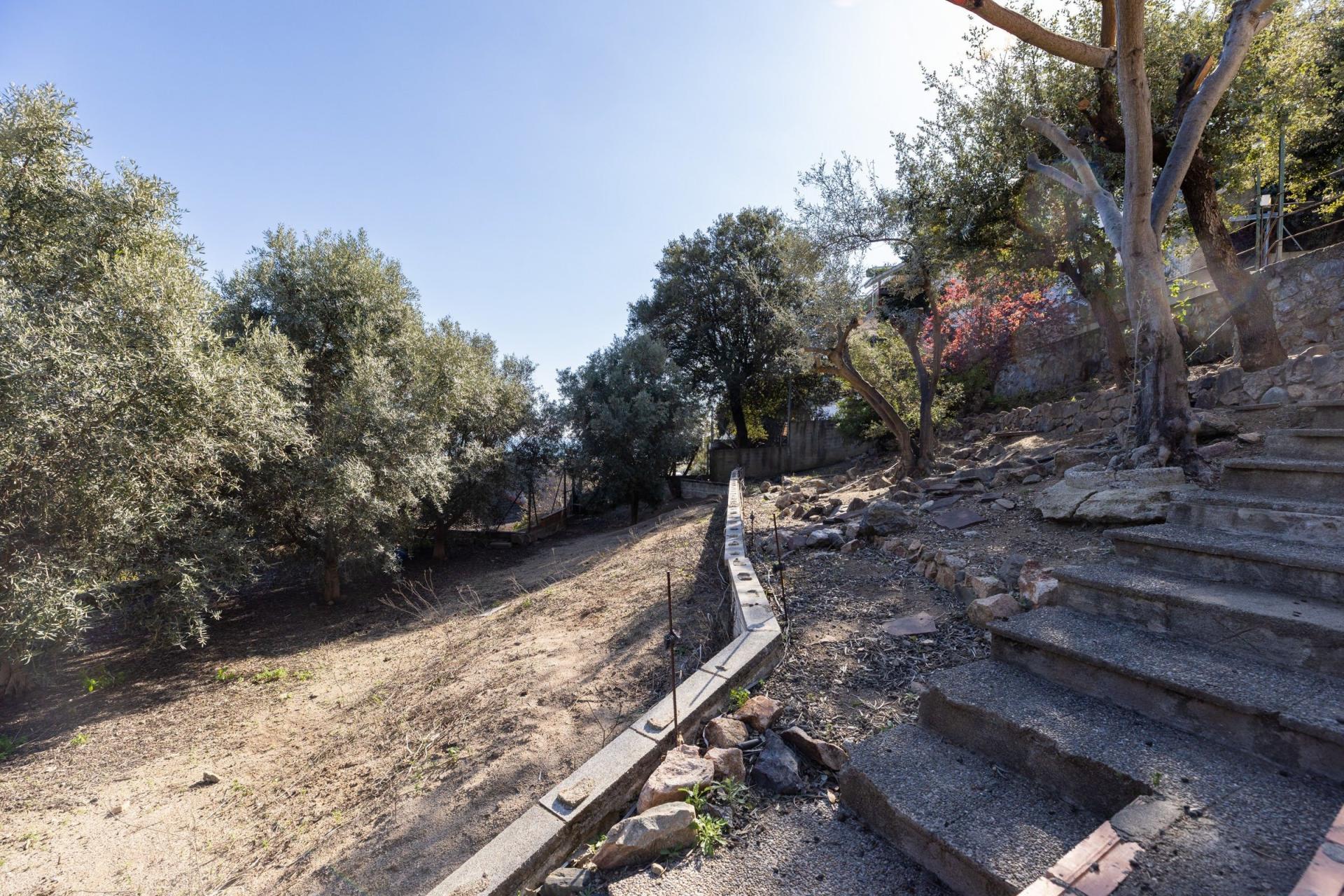 Photo 17 de l'annonce.