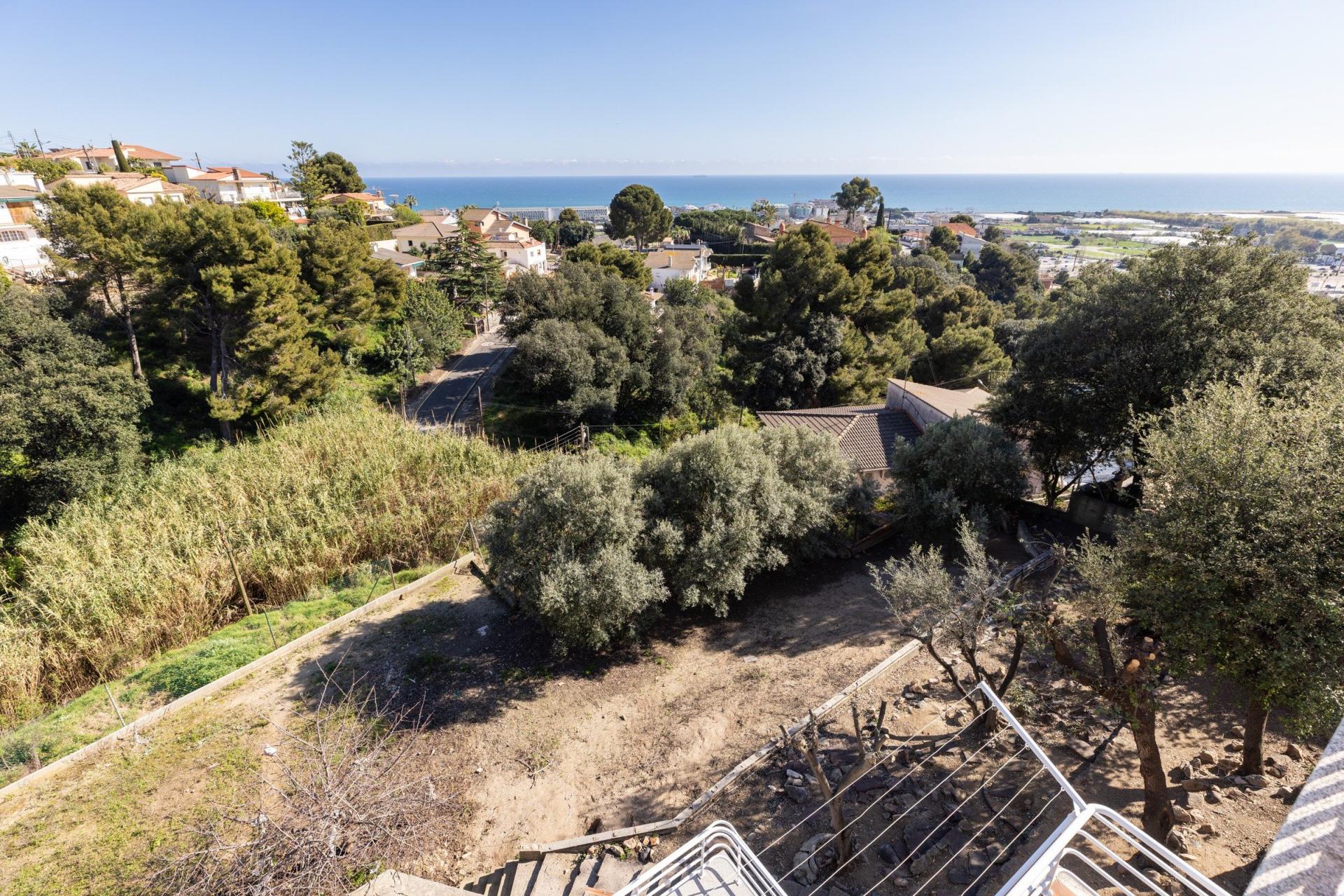 Photo 6 de l'annonce.