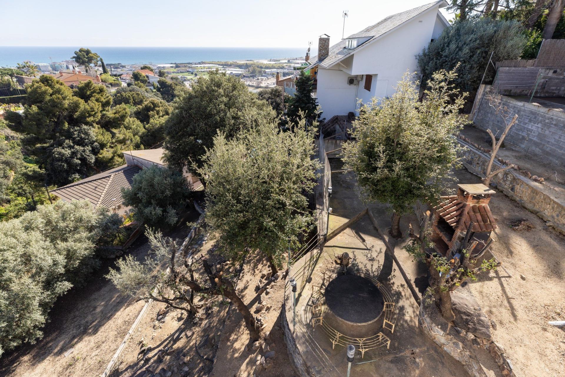 Photo 7 de l'annonce.