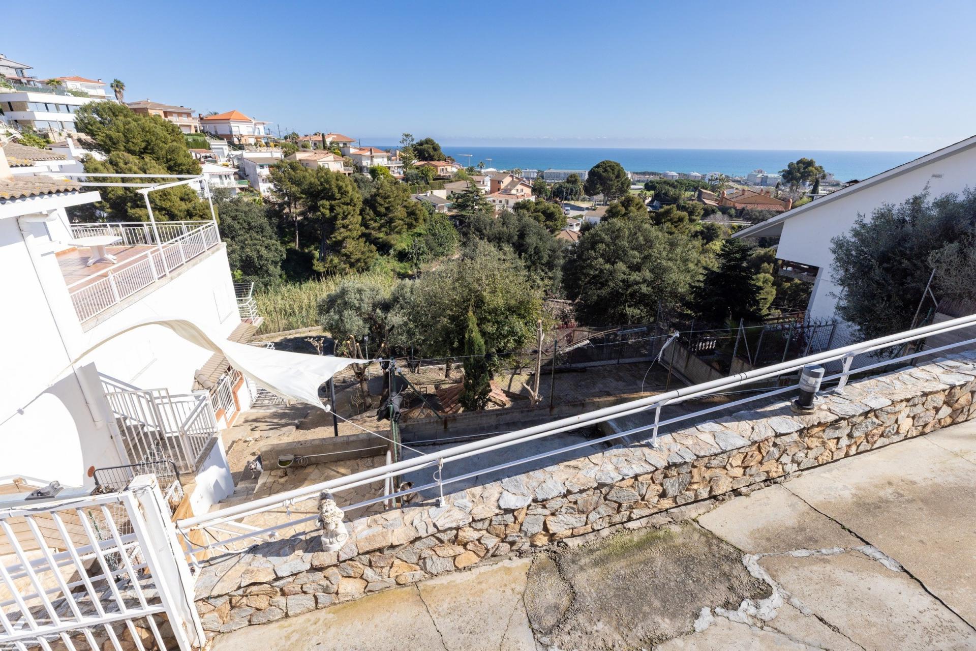 Photo 2 de l'annonce.