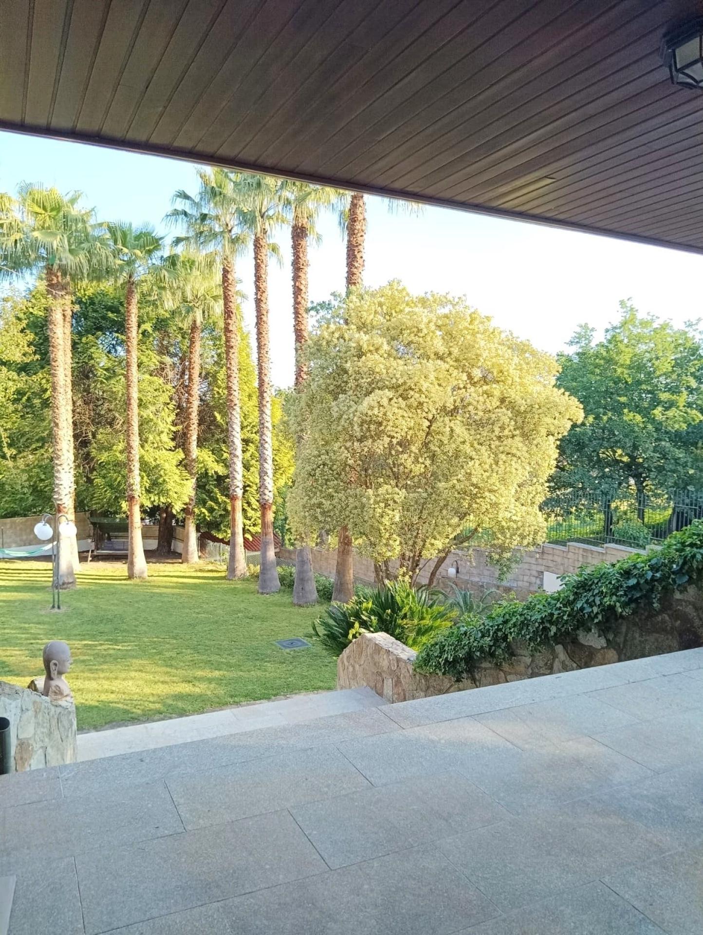 Photo 18 de l'annonce.