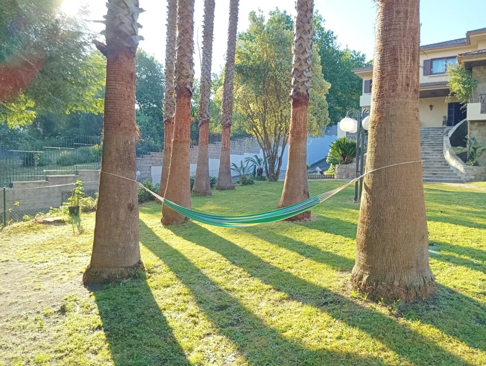 Photo 16 de l'annonce.