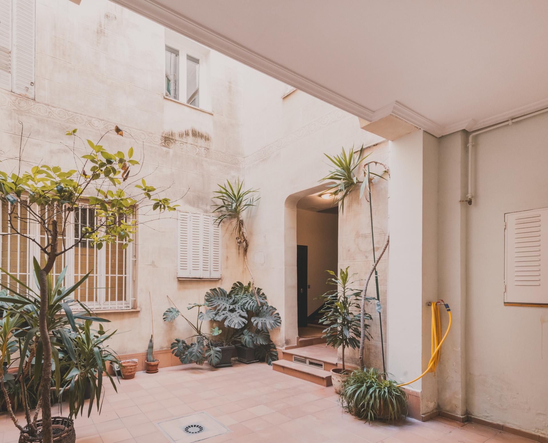 Photo 19 de l'annonce.