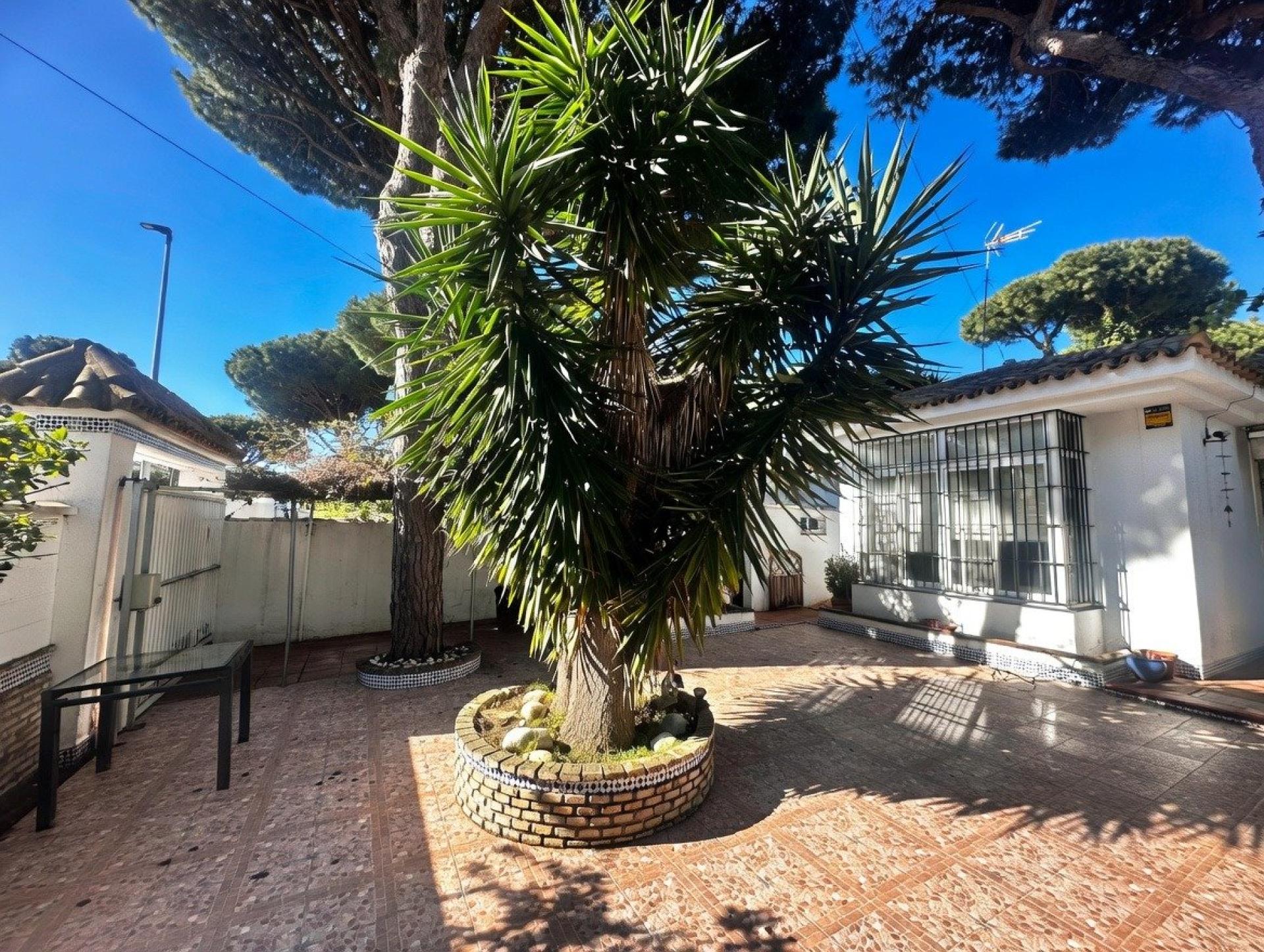 Photo 3 de l'annonce.