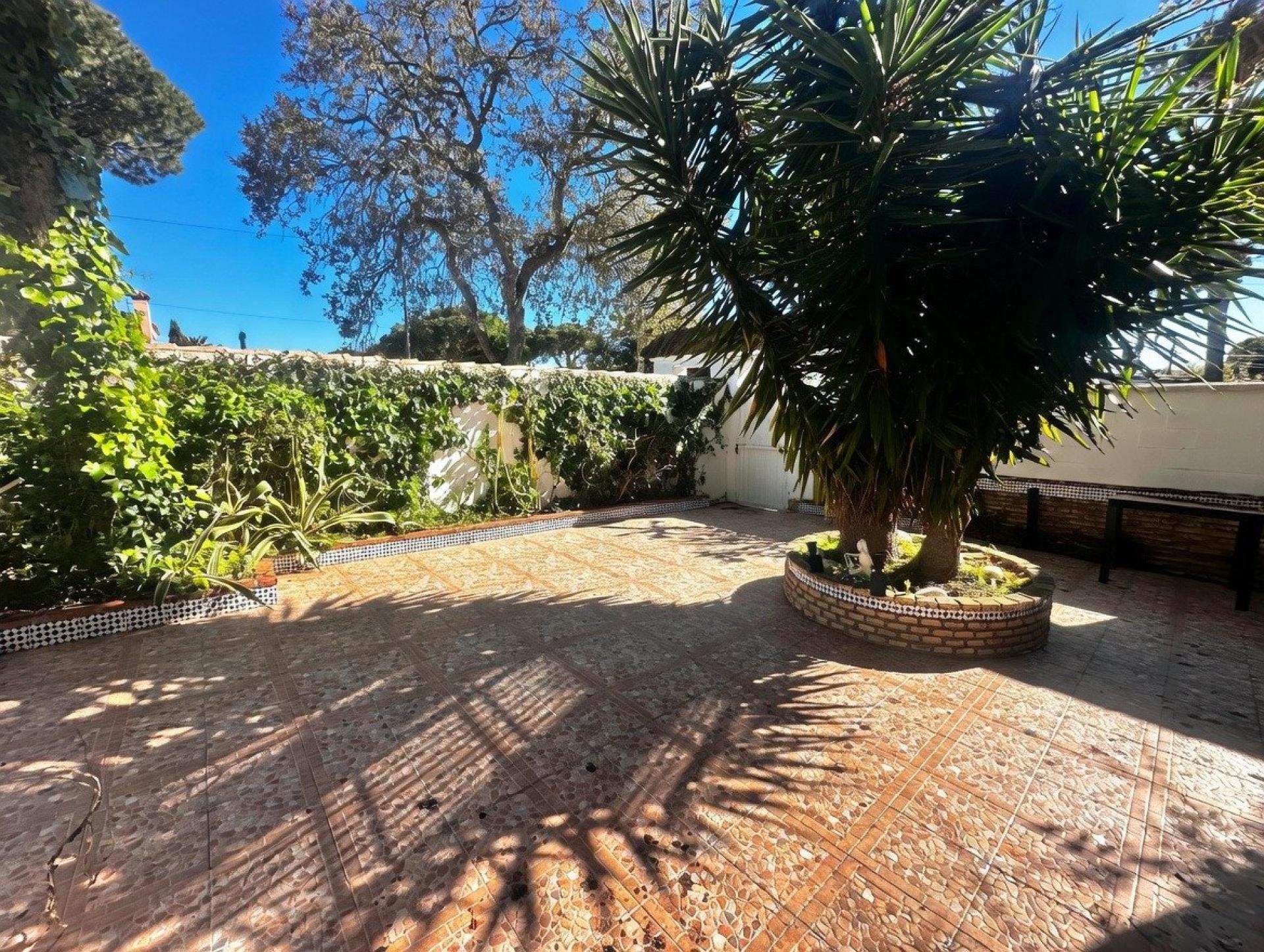 Photo 2 de l'annonce.