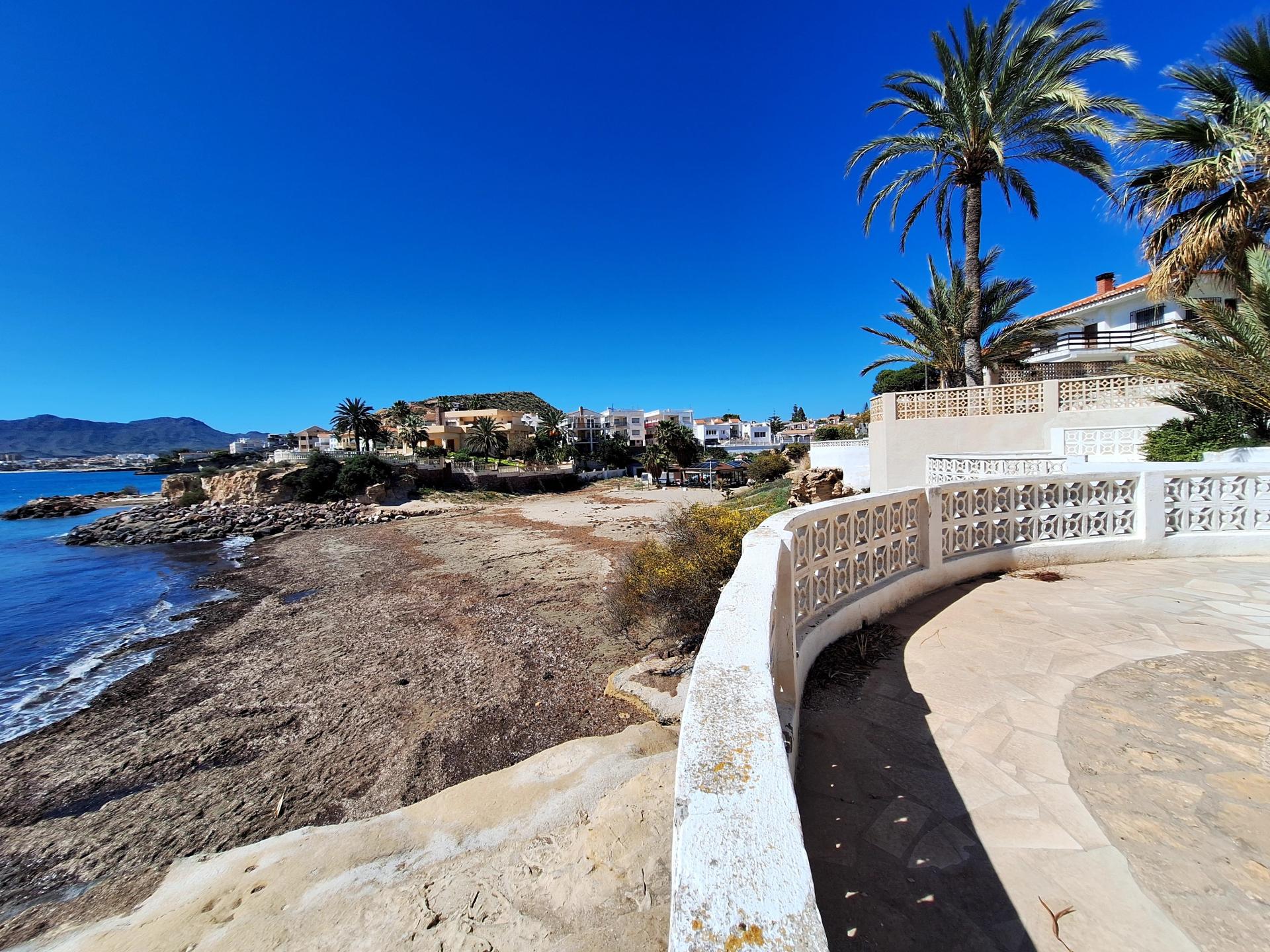 Photo 41 de l'annonce.