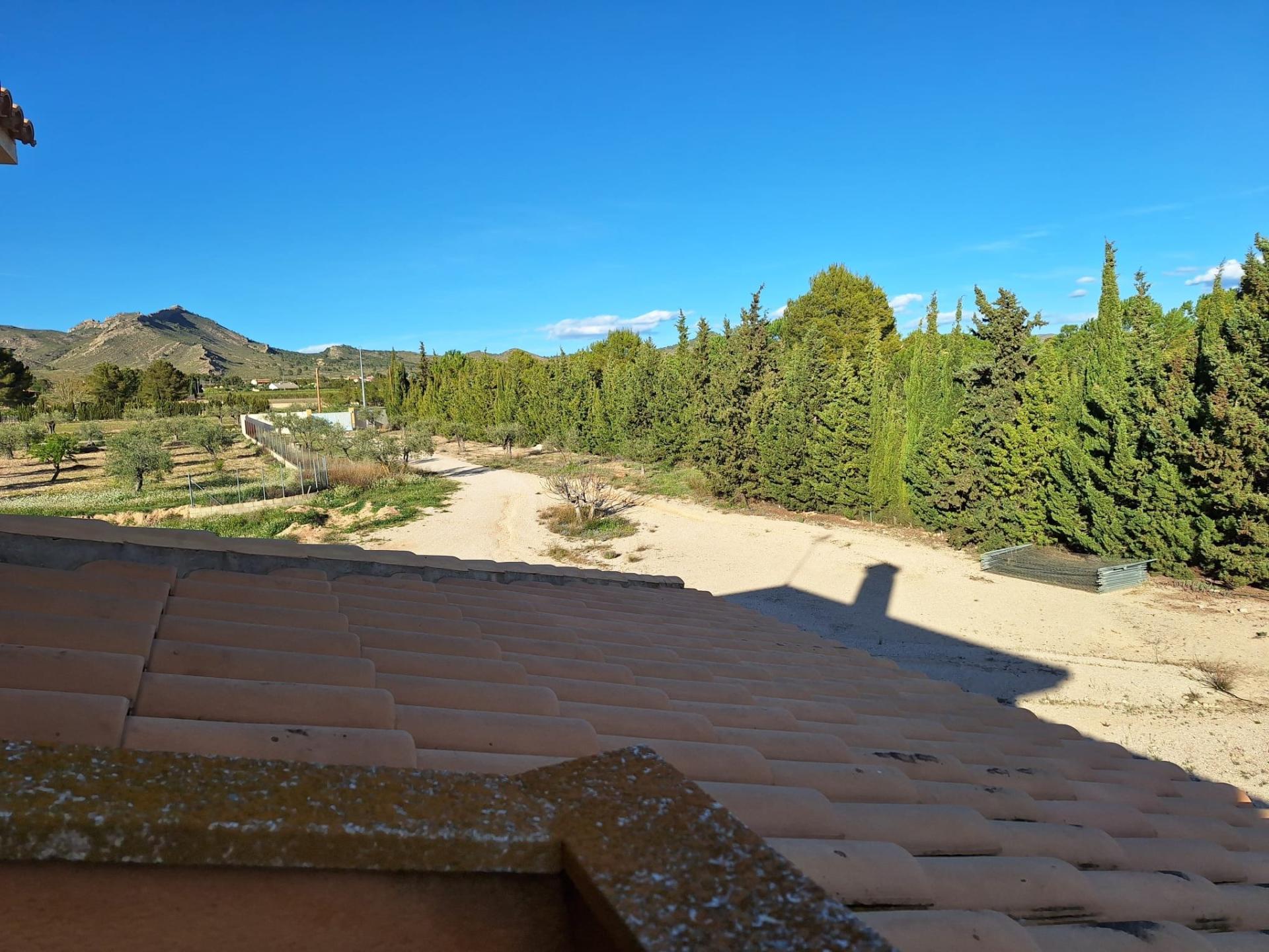 Photo 38 of the listing.