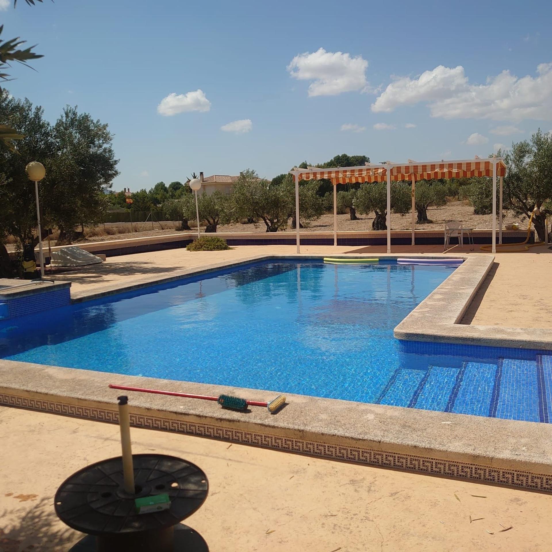 Photo 12 of the listing.