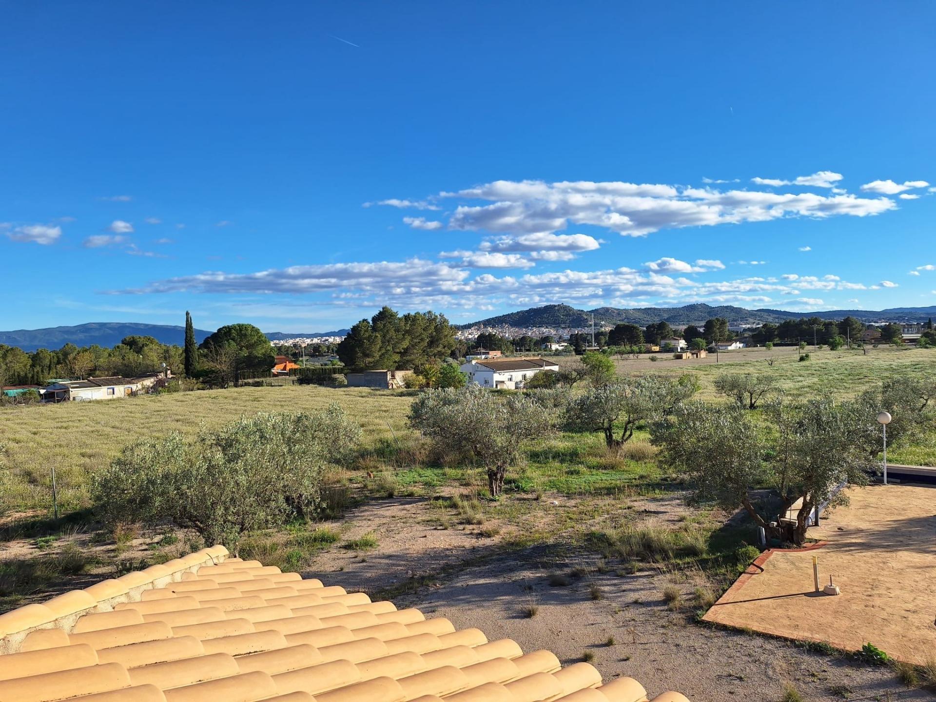 Photo 40 of the listing.