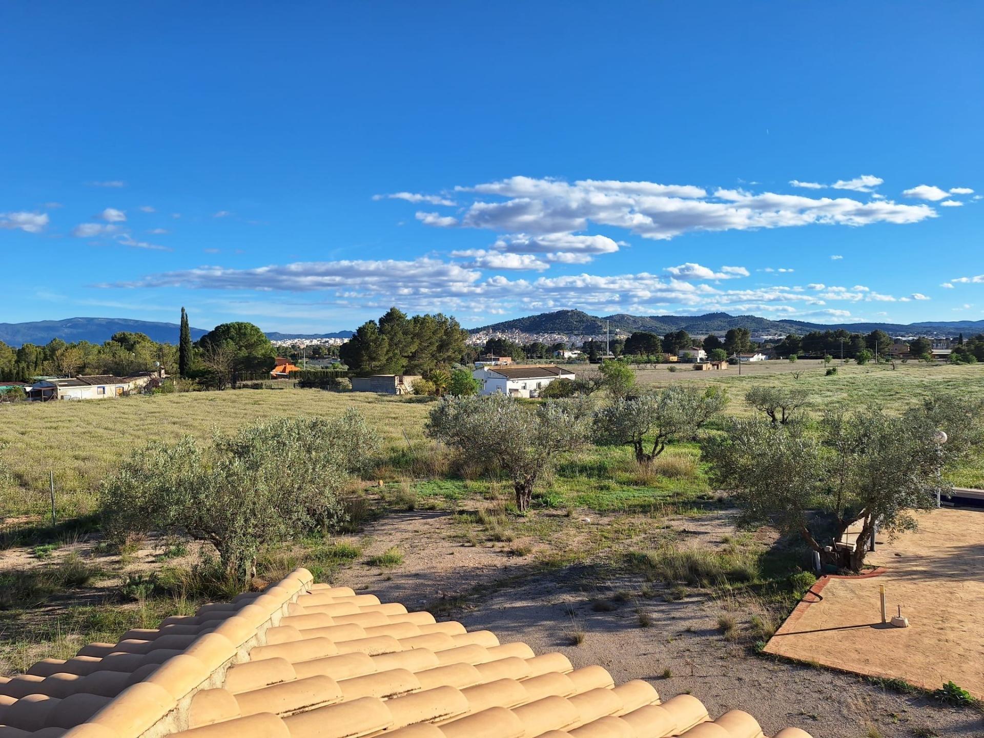 Photo 44 of the listing.