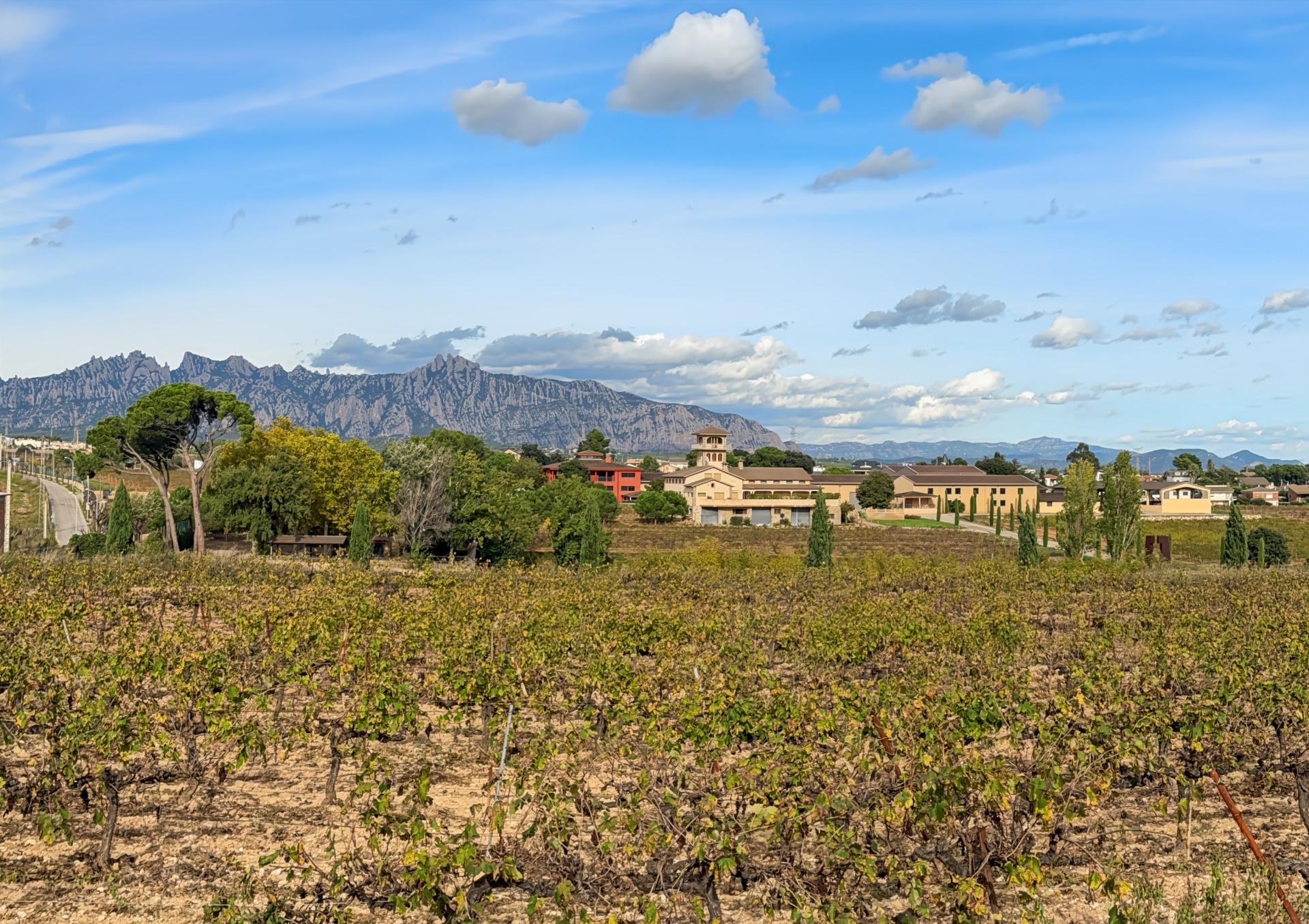 Photo 53 de l'annonce.