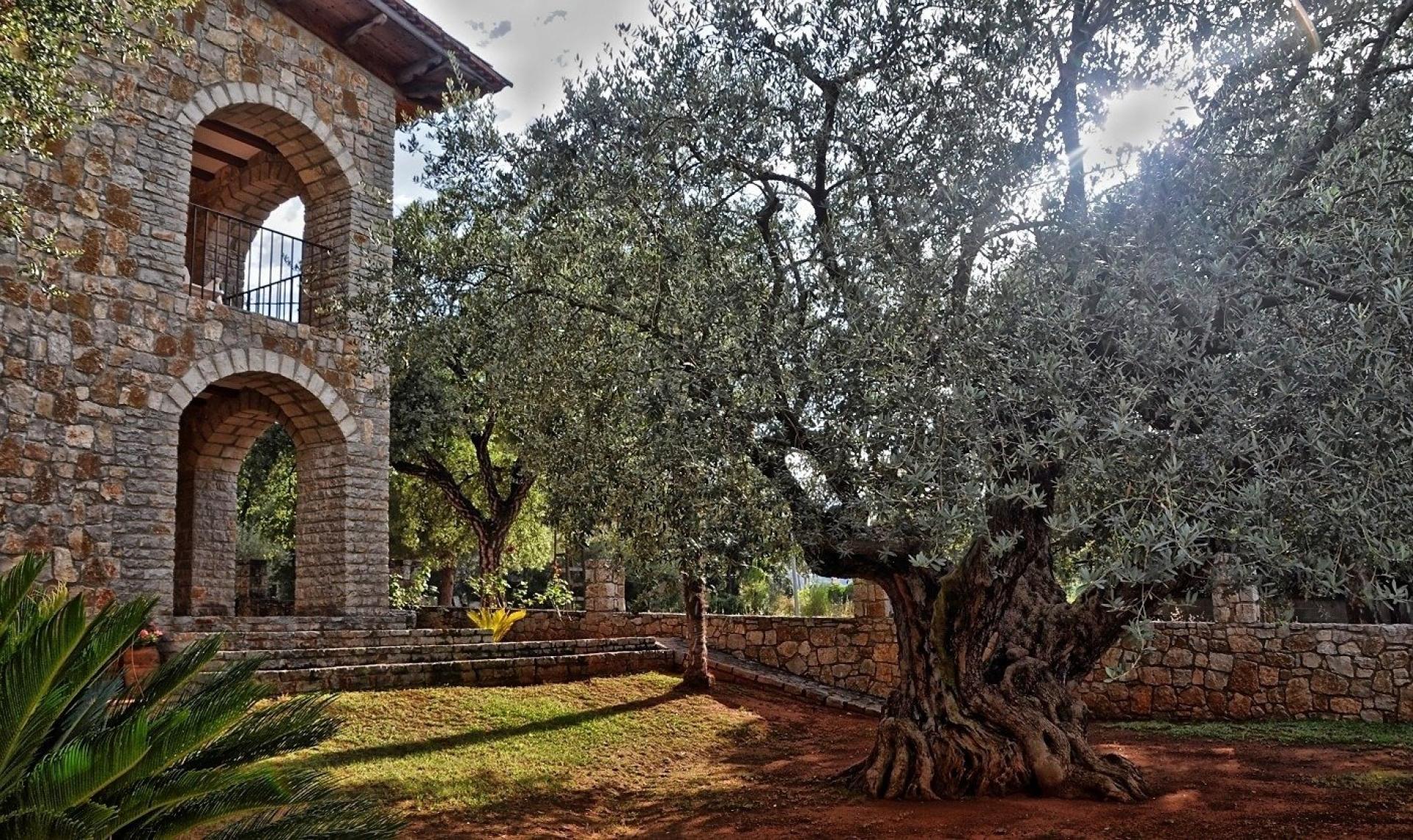 Foto 13 del anuncio.