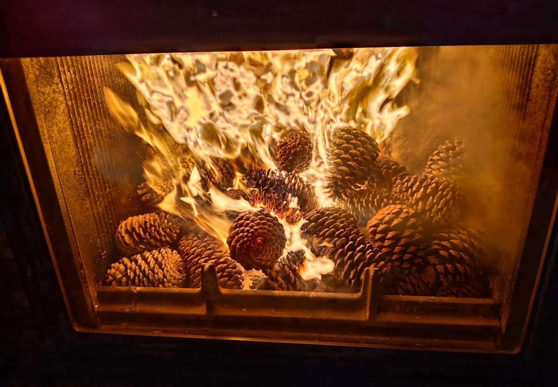 Foto 59 del anuncio.