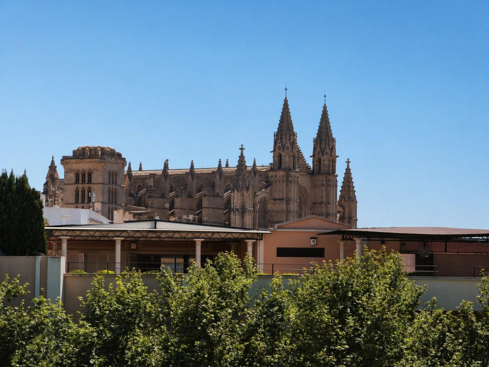 Photo 16 de l'annonce.