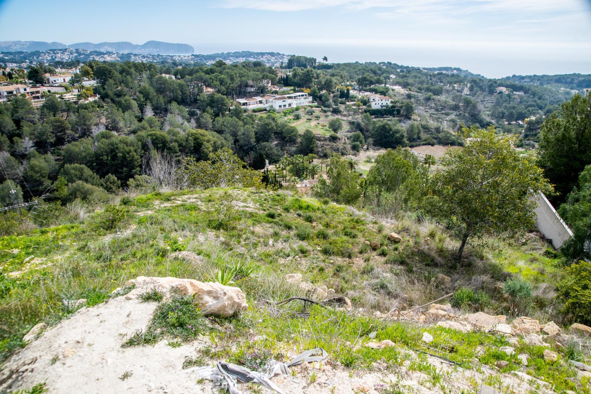 Photo 7 de l'annonce.