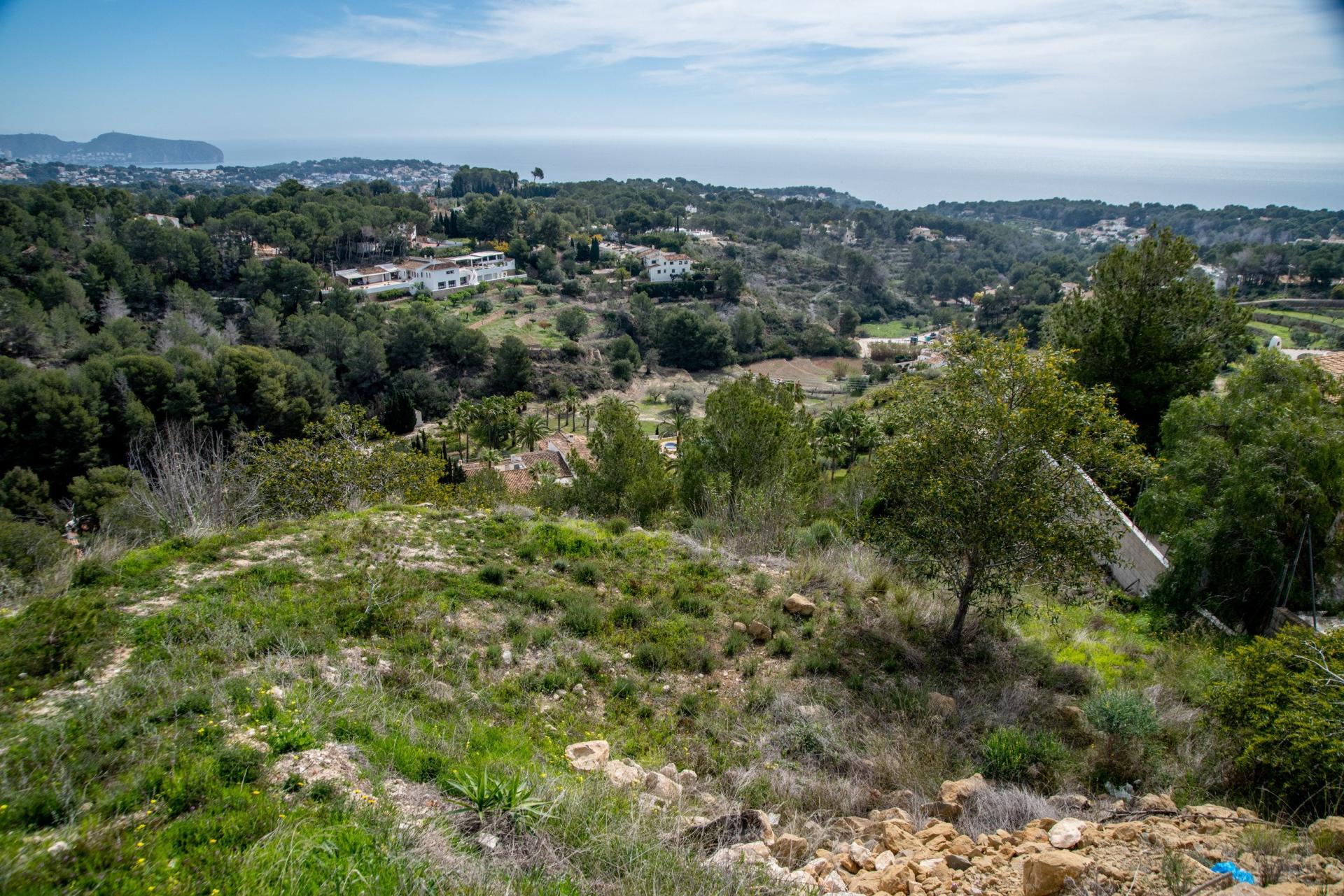 Photo 6 de l'annonce.