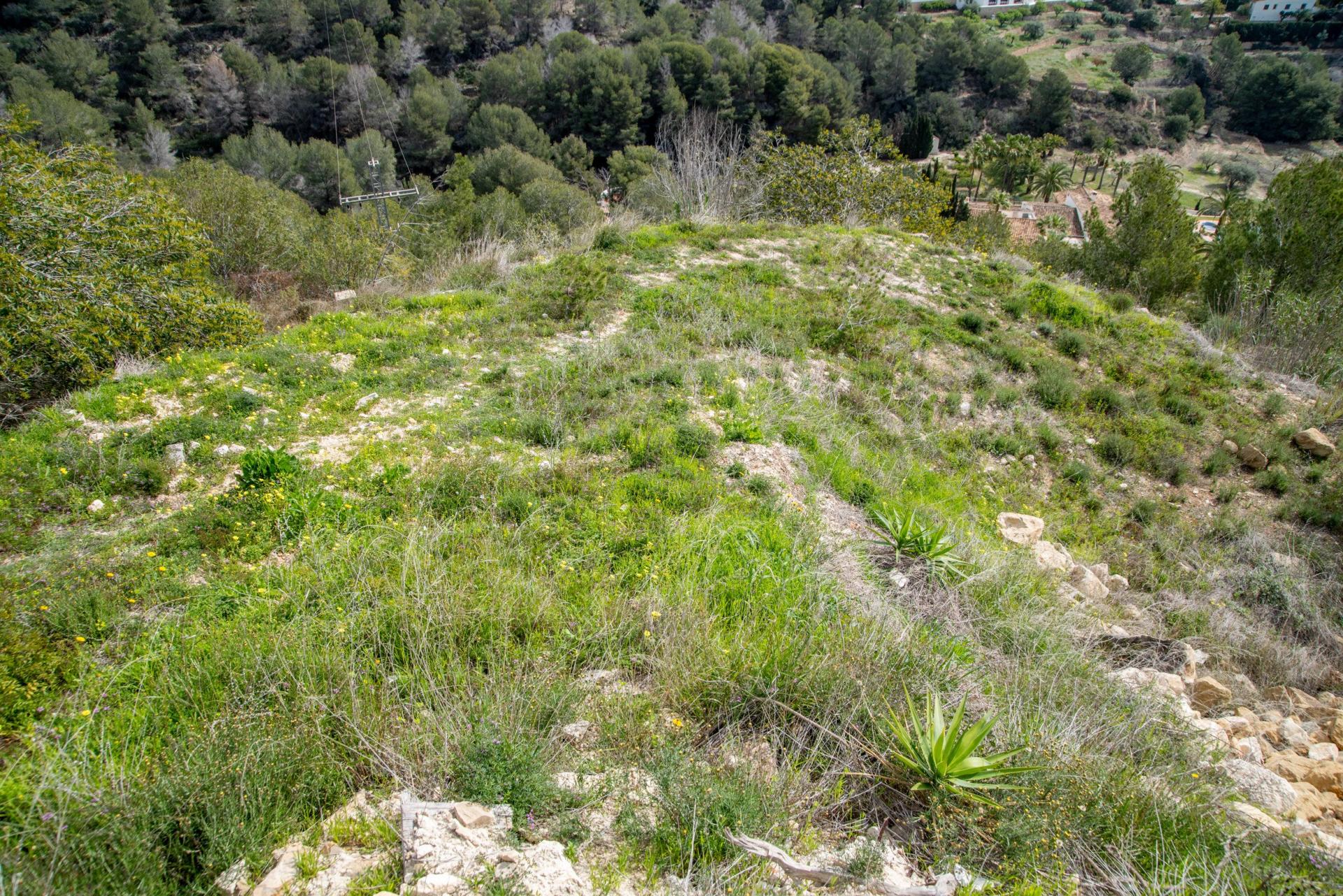 Photo 8 de l'annonce.