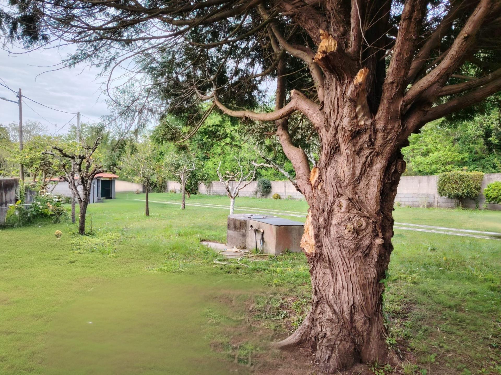 Photo 44 de l'annonce.