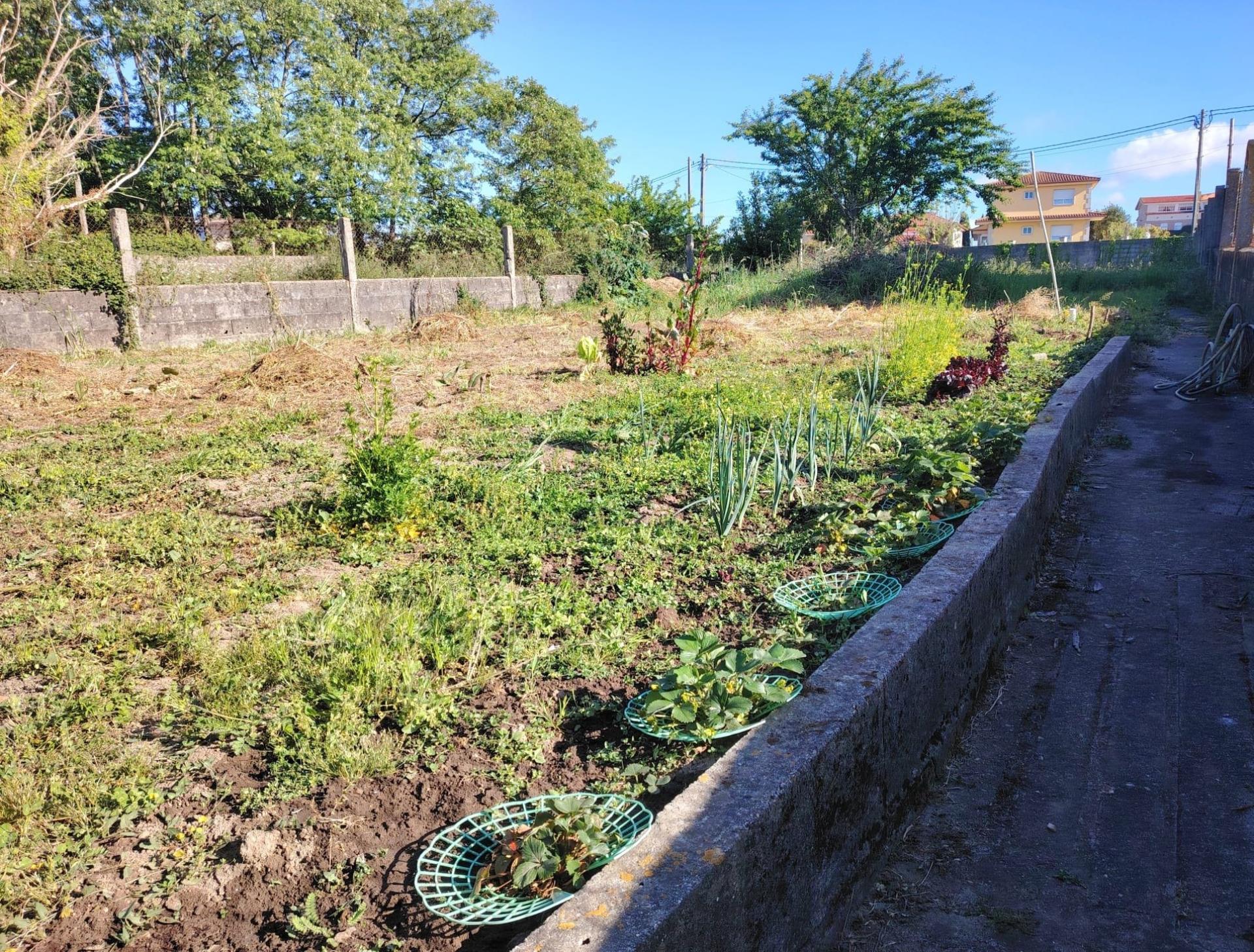 Photo 21 de l'annonce.