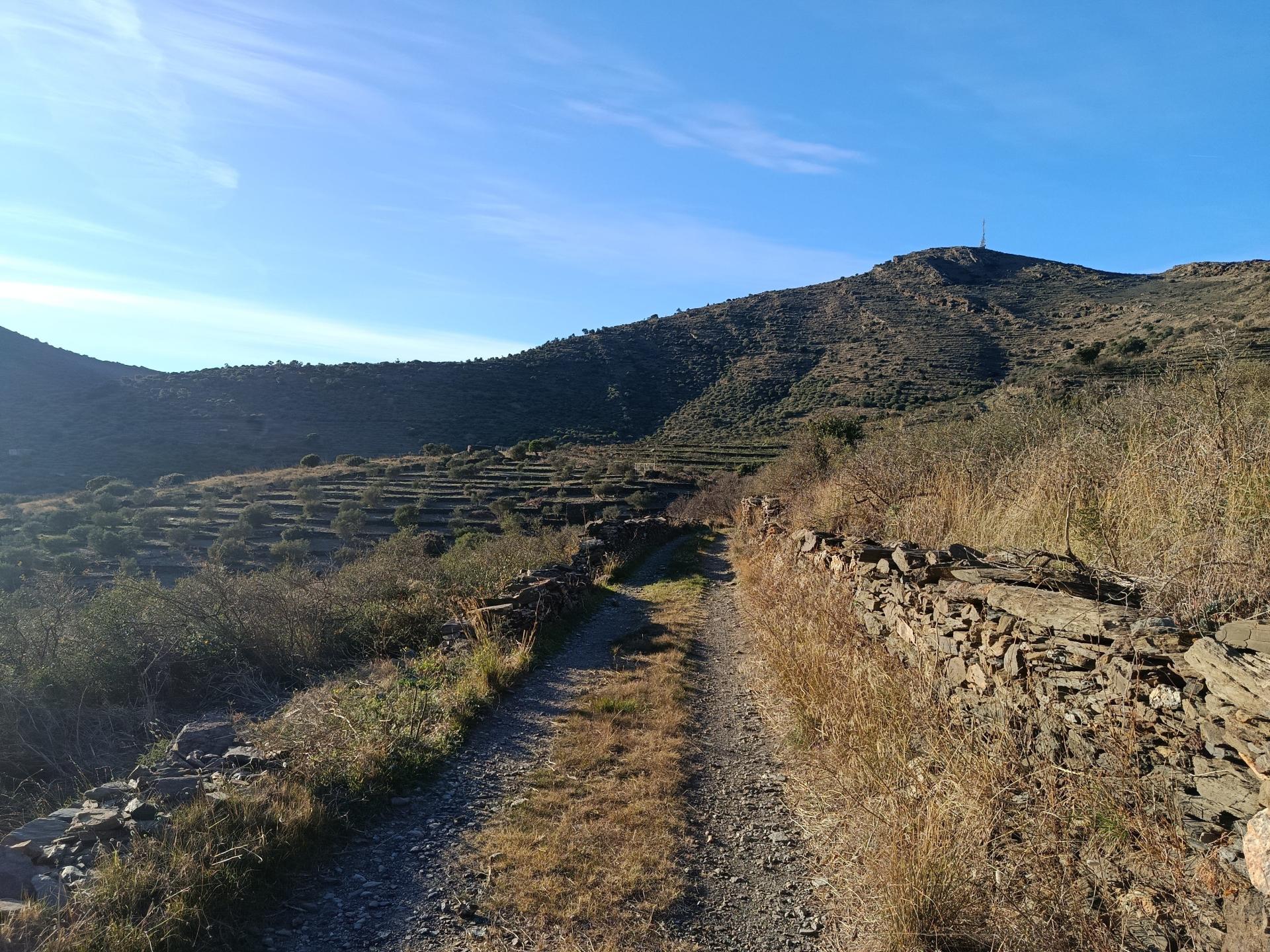 Photo-terrain