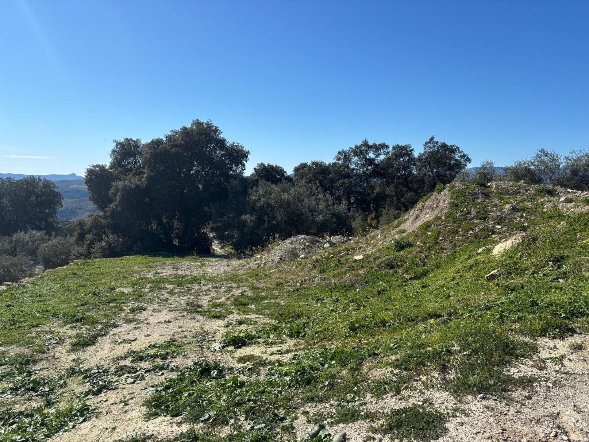 Photo-terrain