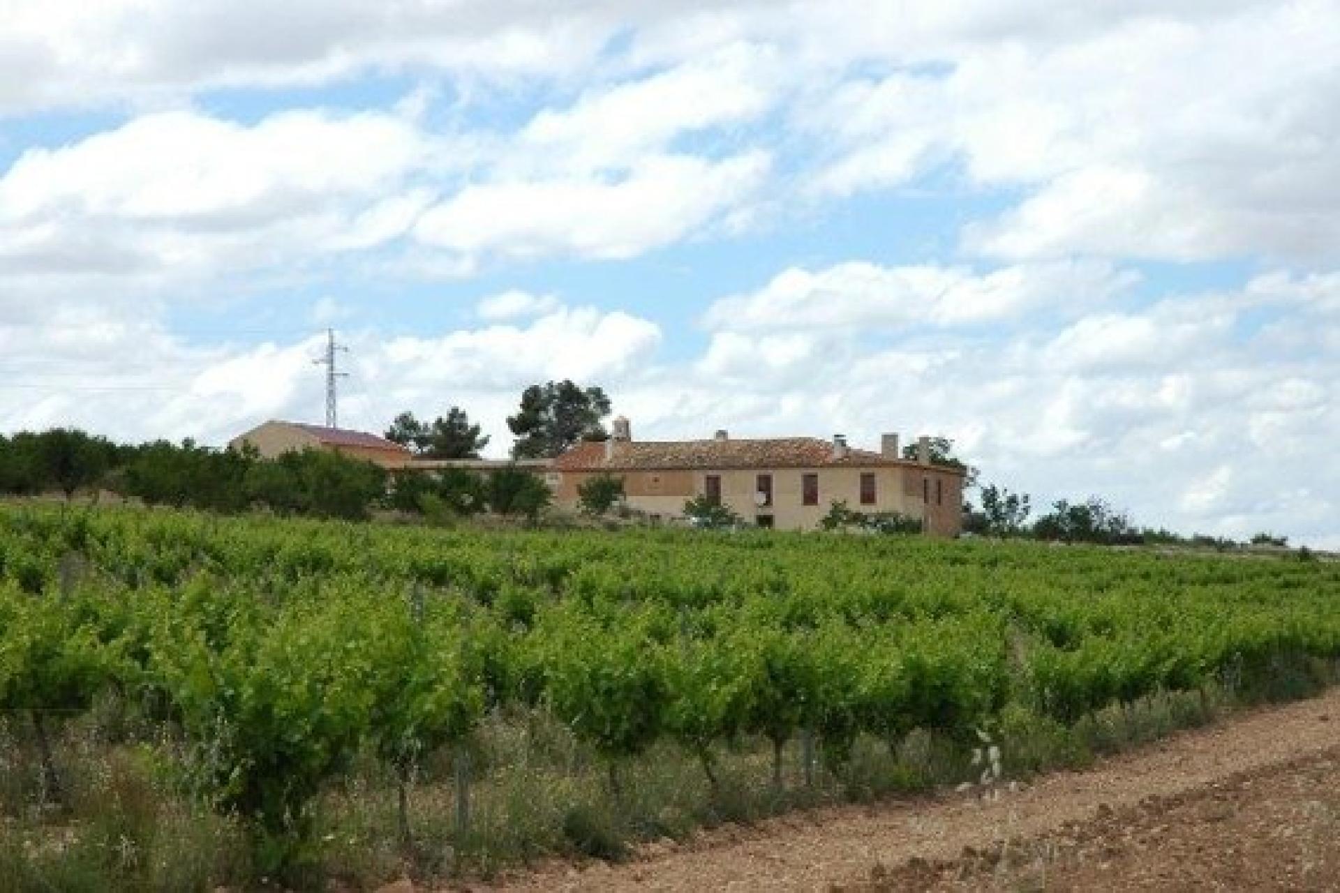Photo-terrain