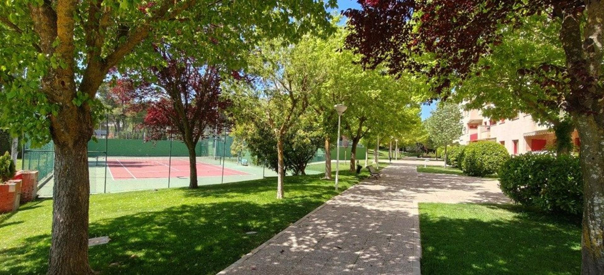 Photo 23 of the listing.