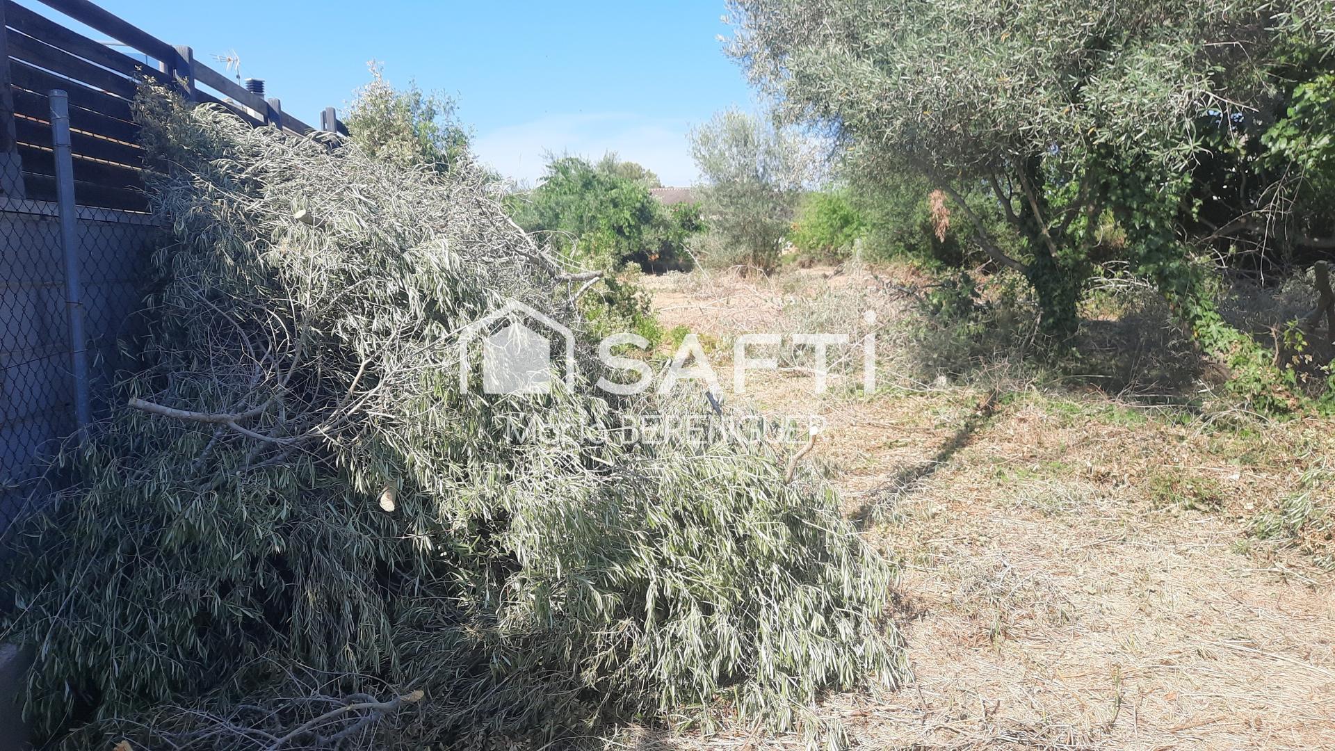 Photo-terrain