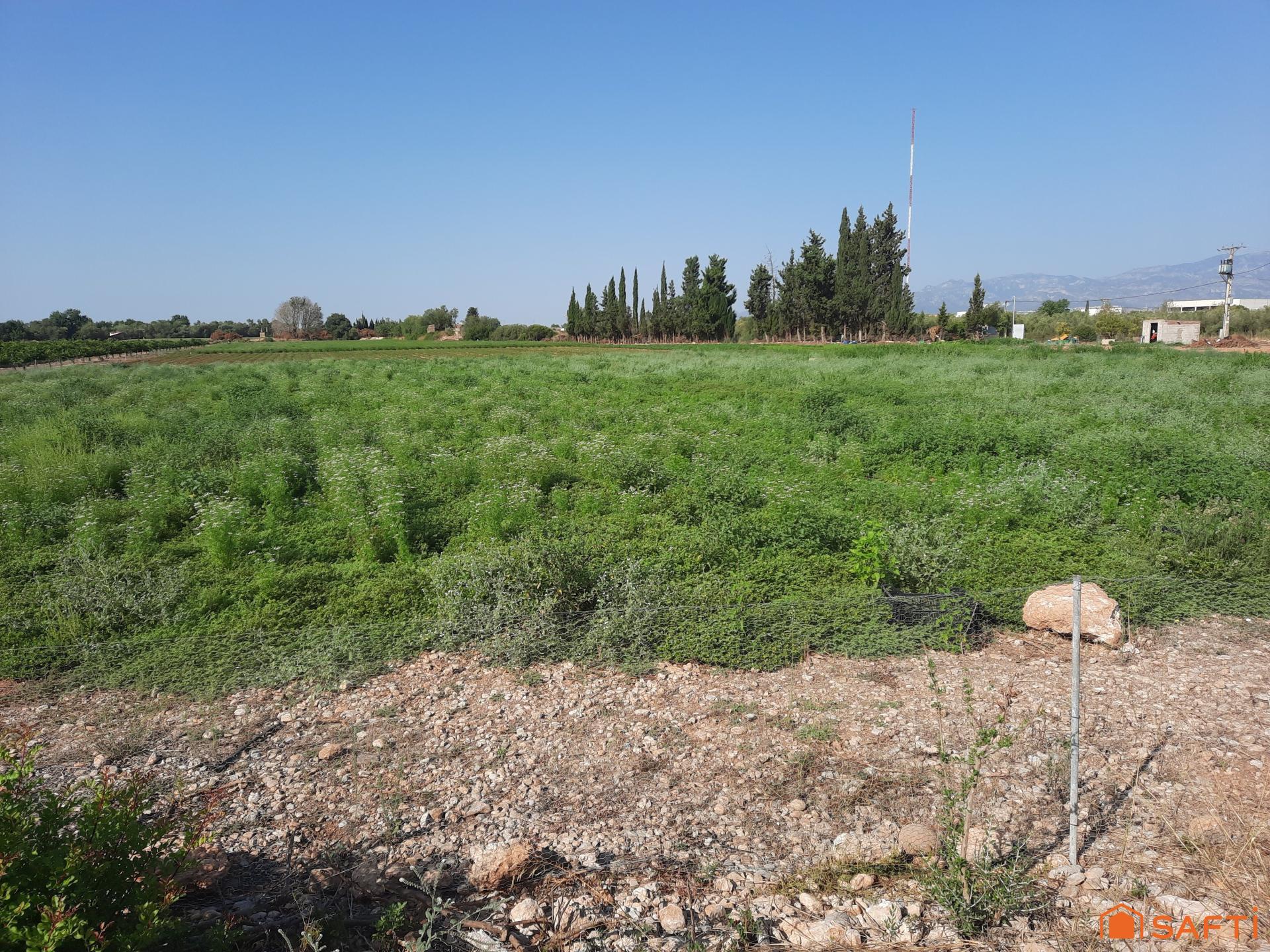 Photo-terrain