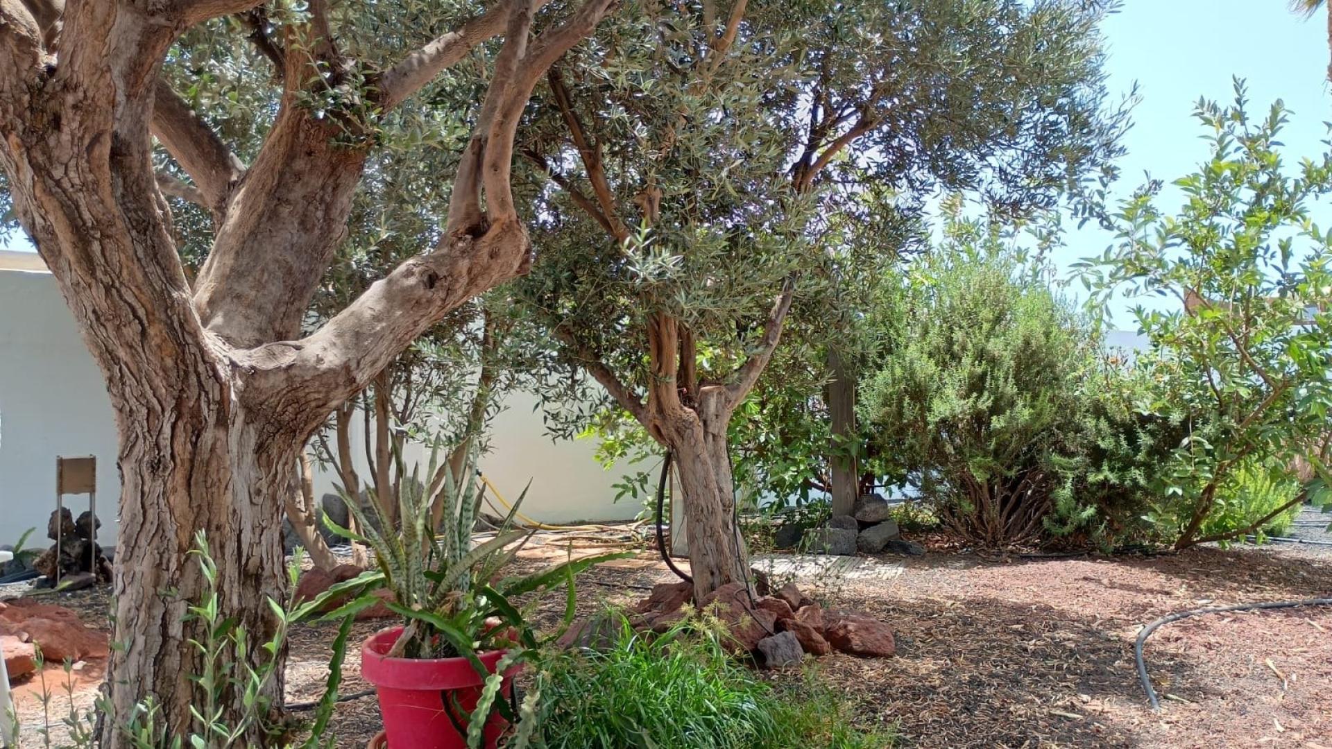 Photo 37 of the listing.